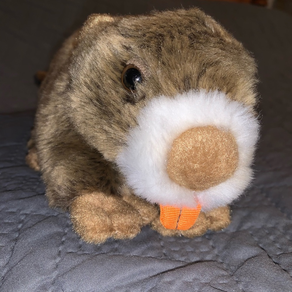 Save Our Space Beaver